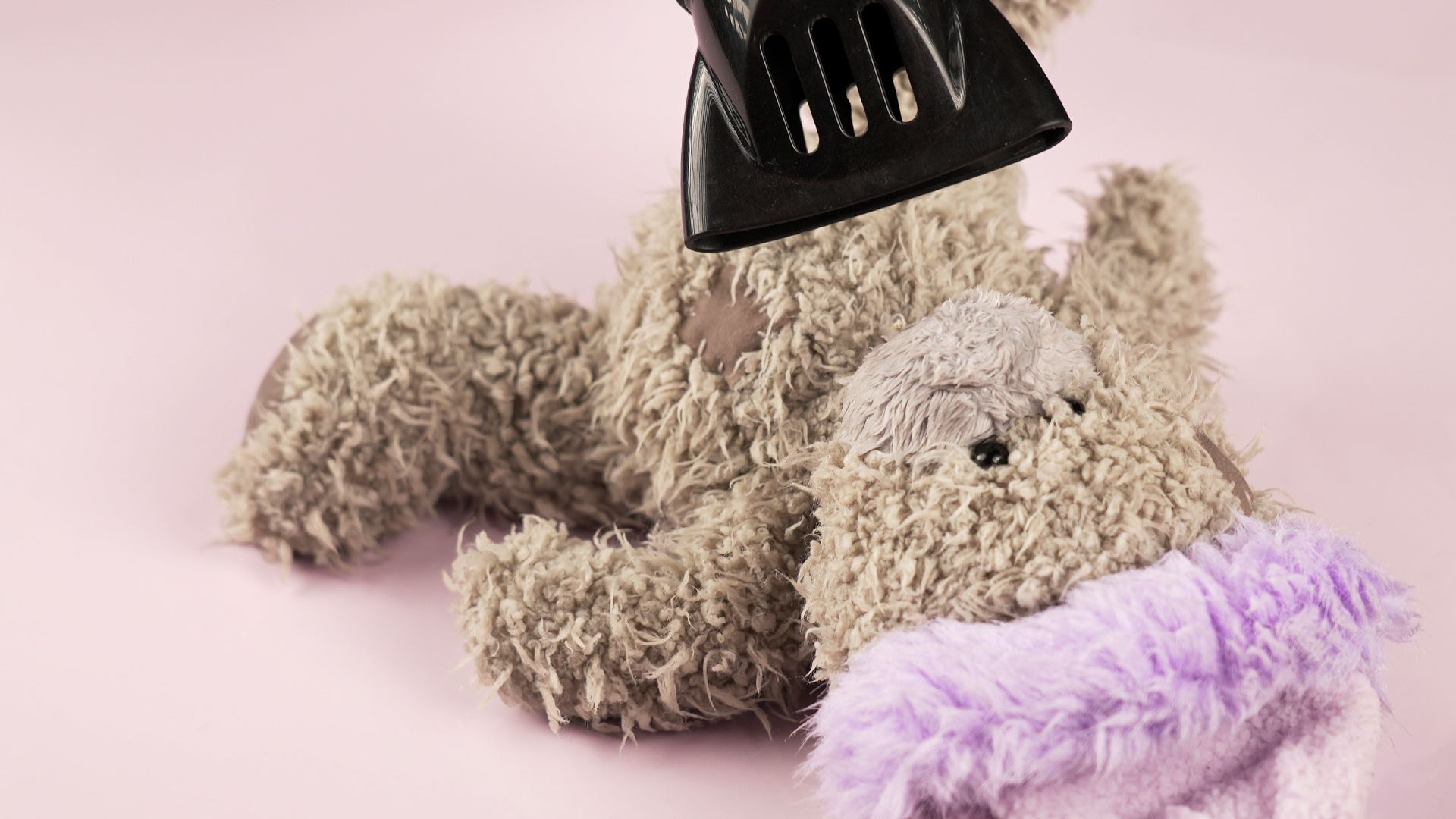 Dry Cleaning Teddy Bears: A Guide to Effective Cleaning插图3