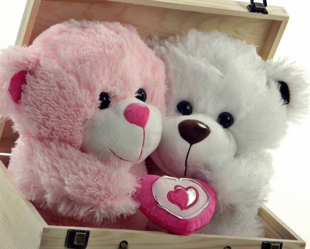 Celebrate Cuddly Companions: National Teddy Bear Day插图1