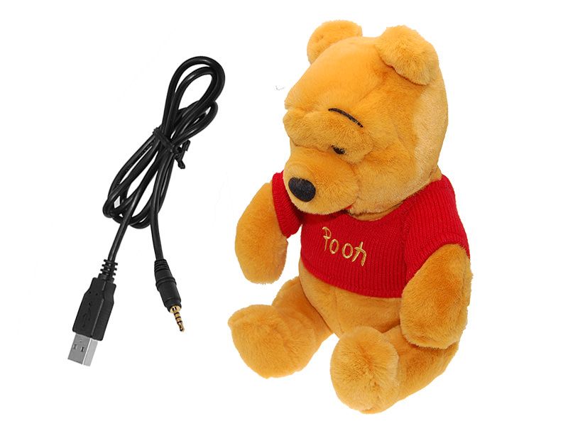 teddy bear with recorded voice