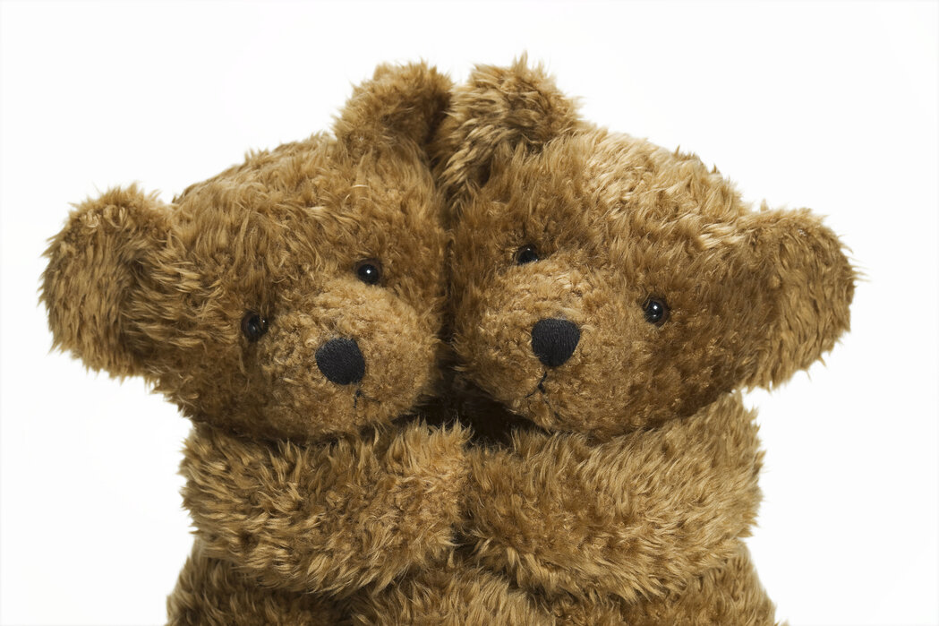 Celebrate Cuddly Companions: National Teddy Bear Day插图2