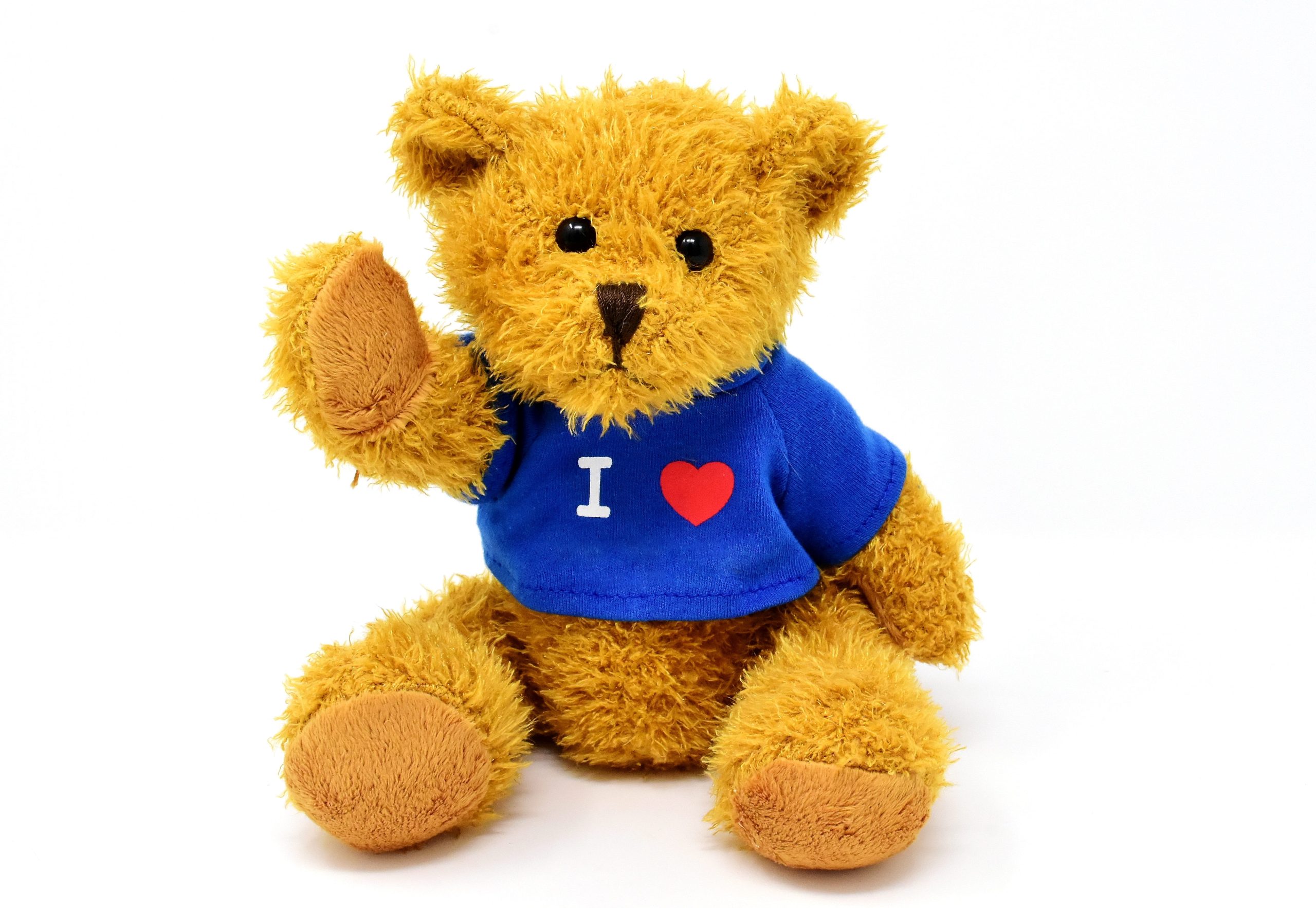 Celebrate Cuddly Companions: National Teddy Bear Day插图3