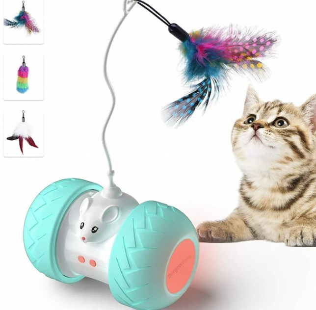 interactive  cat toy