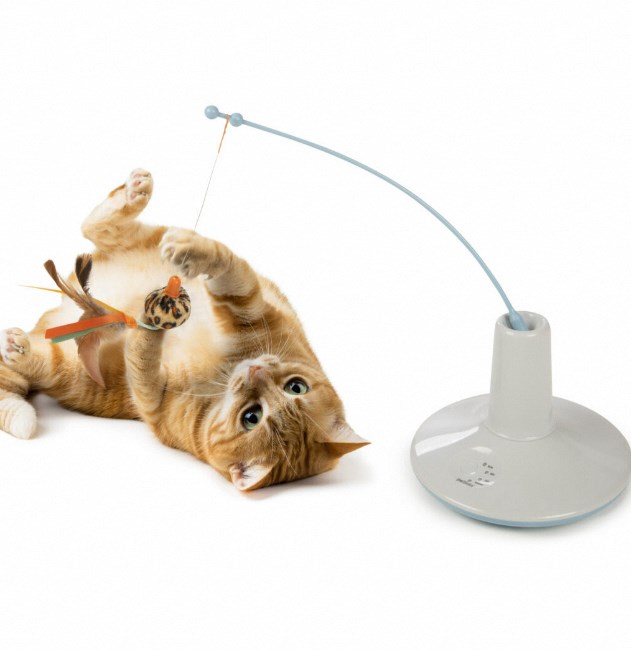 interactive  cat toy
