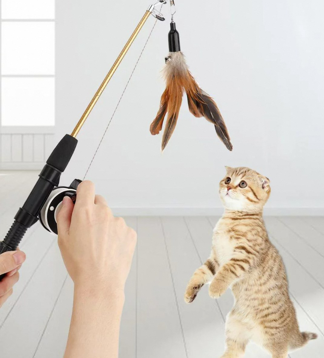 Engaging Feline Fun: Interactive Cat Toy Innovations插图3