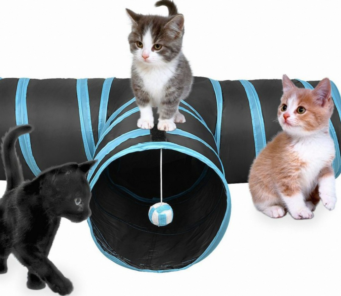 Engaging Feline Fun: Interactive Cat Toy Innovations插图2