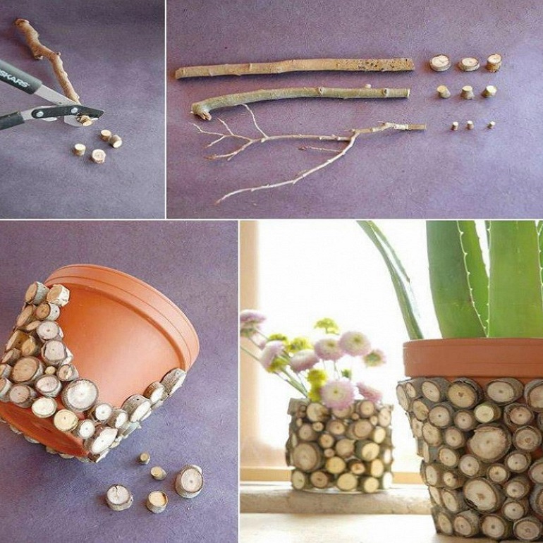 diy plants