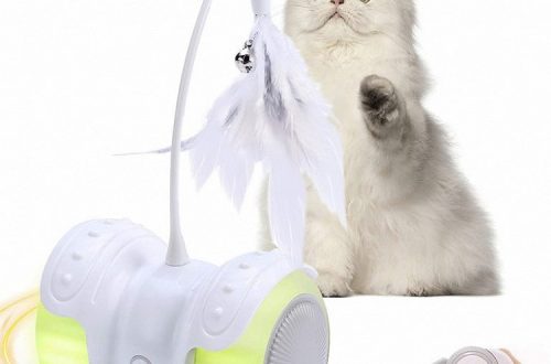 toy for cats