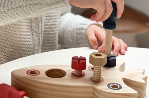 wooden montessori toys