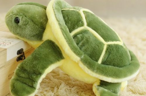 turtle plush toy