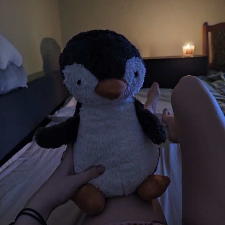 penguin plush toy