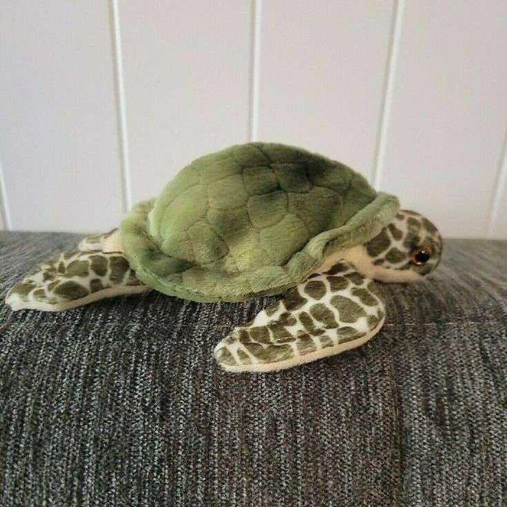 turtle plush toy