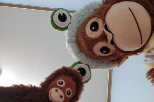 monkey plush toy