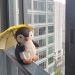 penguin plush toy