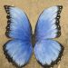 paper mache butterfly