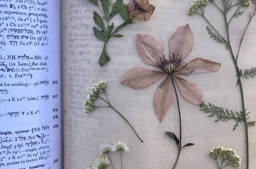 how to press flowers in a book