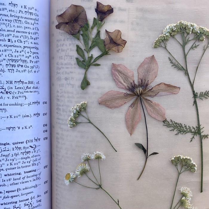 how to press flowers in a book