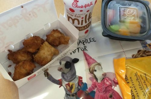 chick fil a kids meal toy