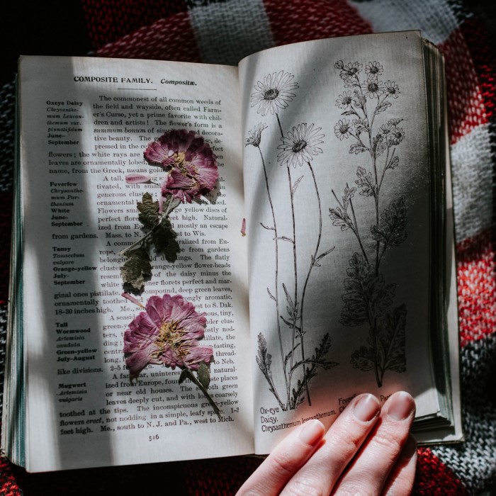 how to press flowers in a book
