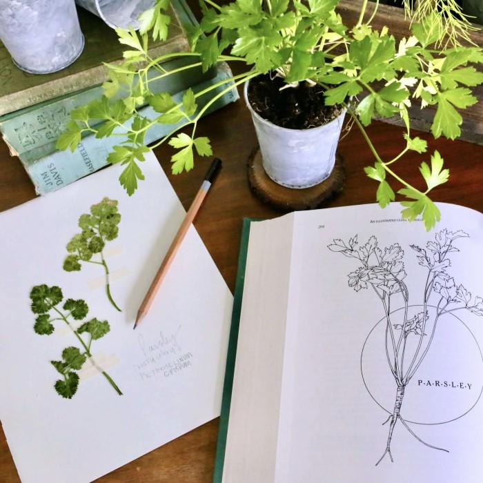 how to press flowers in a book