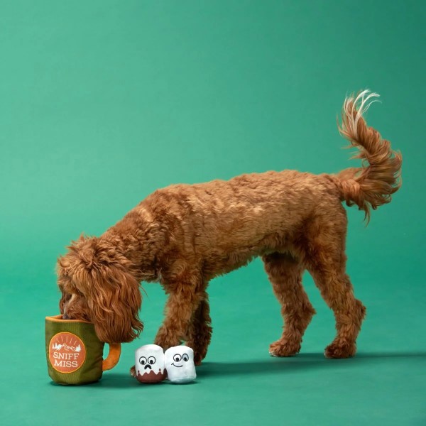 how do you make a sensory dog toy?