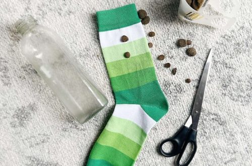 how do you make a sensory dog toy?