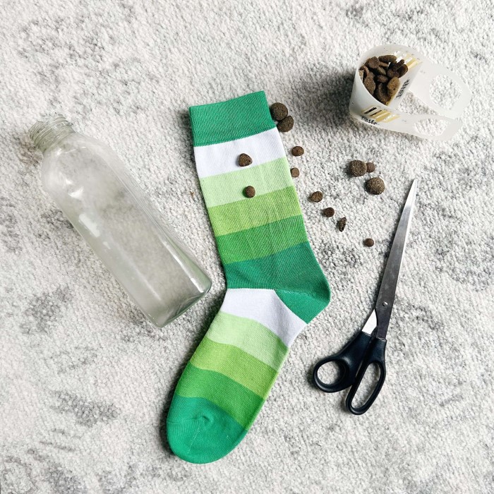 how do you make a sensory dog toy?