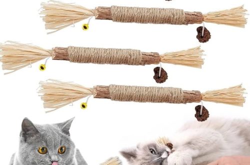 cat chew toy