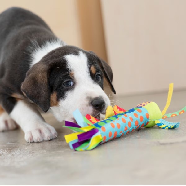 chew toy for puppies