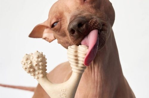 chew toy for puppies