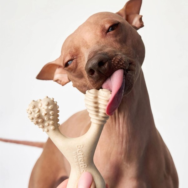 chew toy for puppies