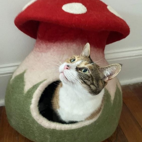felt cat cave