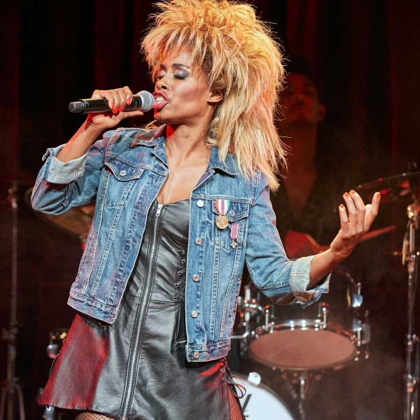 tina turner barbie