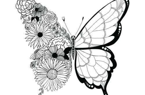 butterfly line drawing