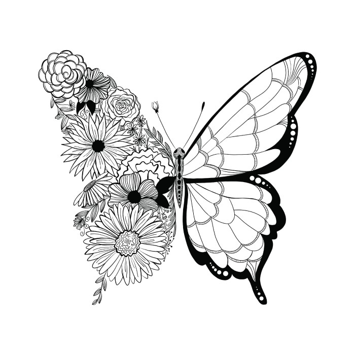 butterfly line drawing