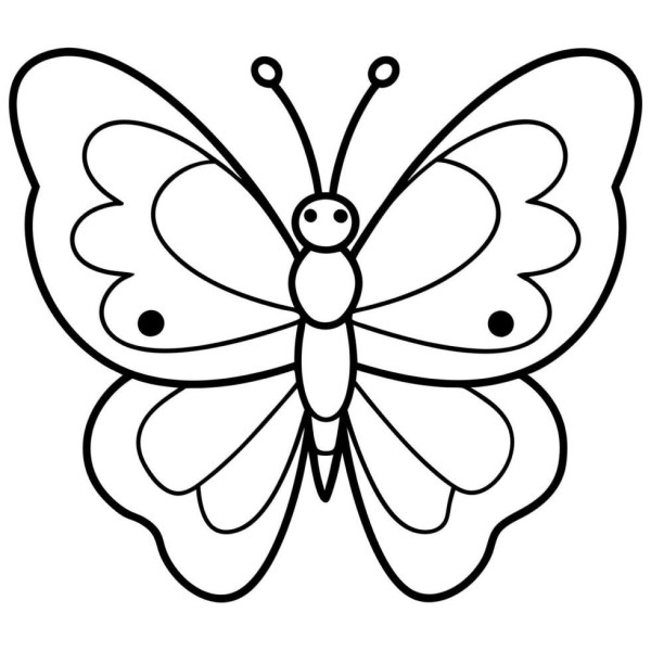 butterfly line drawing