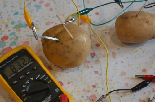 potato battery