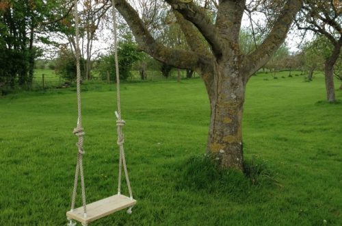 tree swings