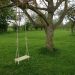 tree swings