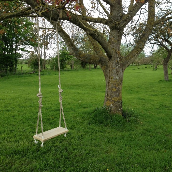 tree swings