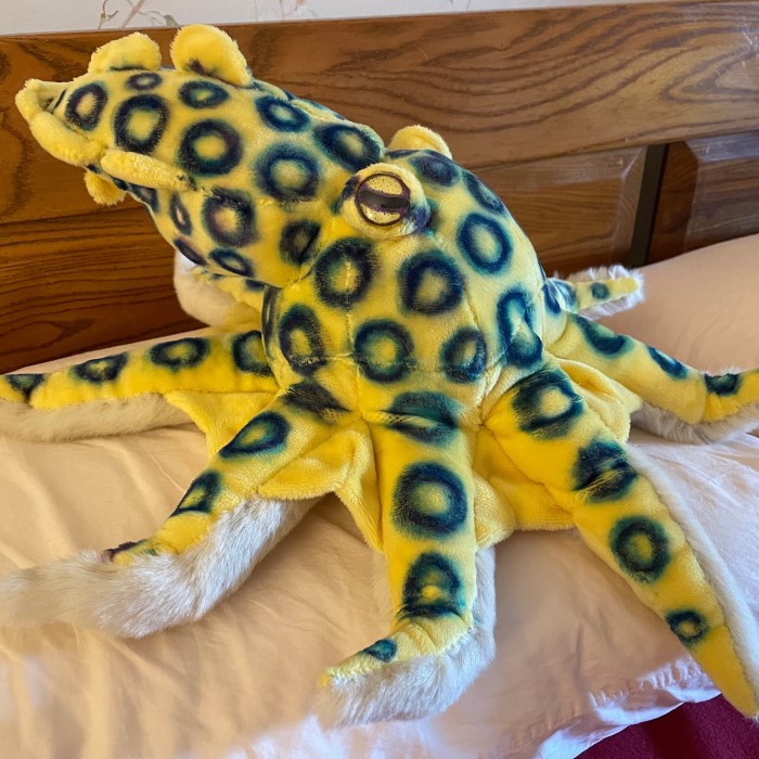octopus stuffed animal