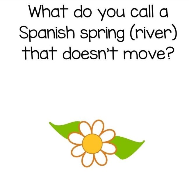 spring jokes for kids