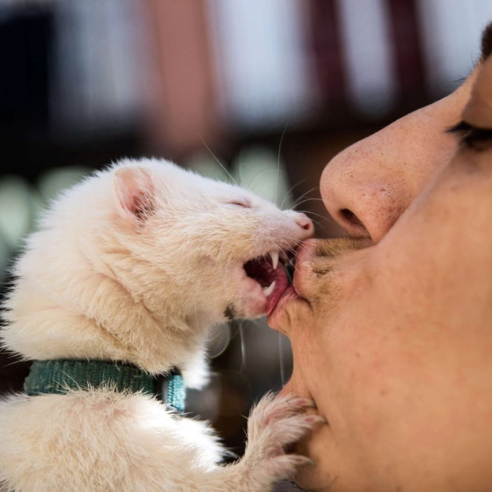 funny pranks to do at home