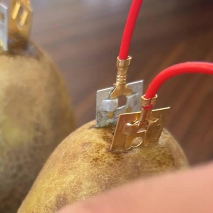 potato battery