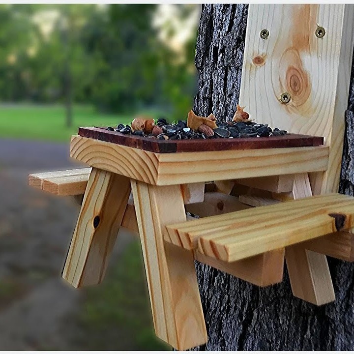 squirrel picnic table