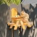 squirrel picnic table