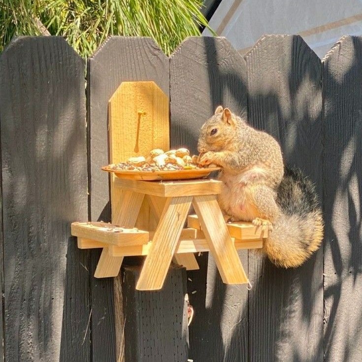 squirrel picnic table