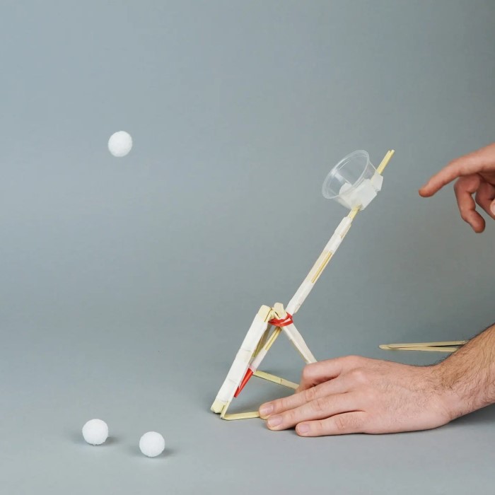 homemade catapult